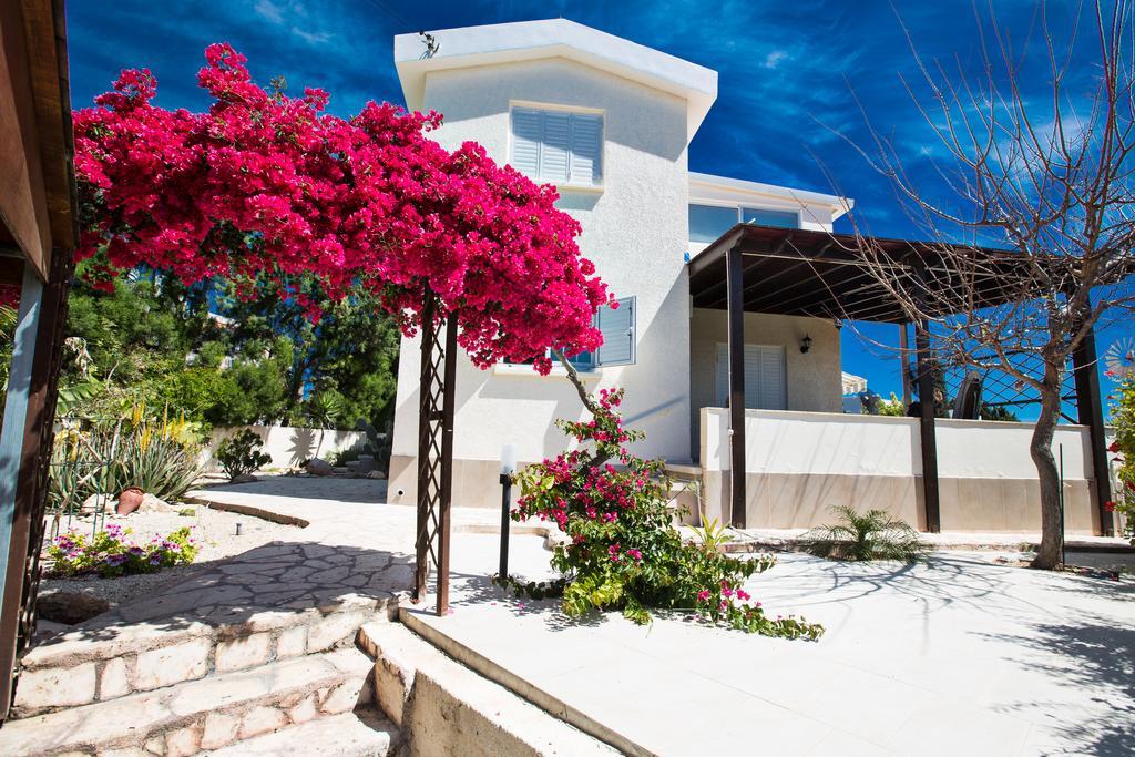 Merab Center Villas Aya Napa Dış mekan fotoğraf